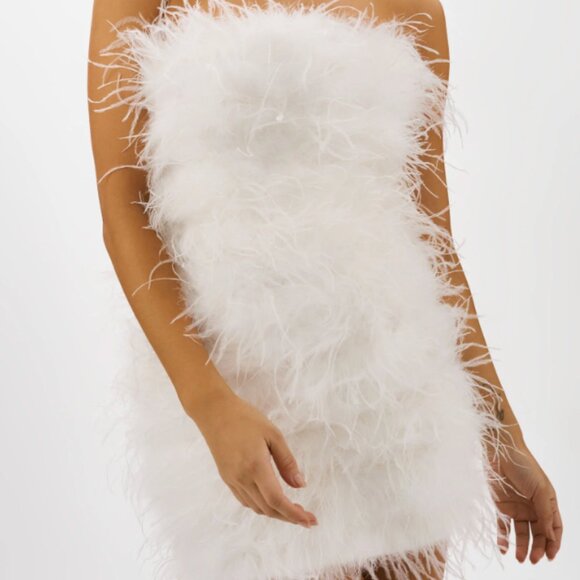LaMarque Dresses & Skirts - Feather Mini Dress